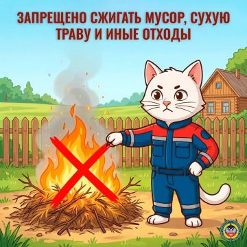 В ДНР установлен особый противопожарный режим, который продлится до 1 октября