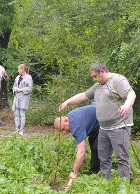 Сотрудники Минприроды ДНР провели акцию по озеленению, приуроченную ко Дню России Сотрудники Минприроды ДНР провели акцию по озеленению, приуроченную ко Дню России