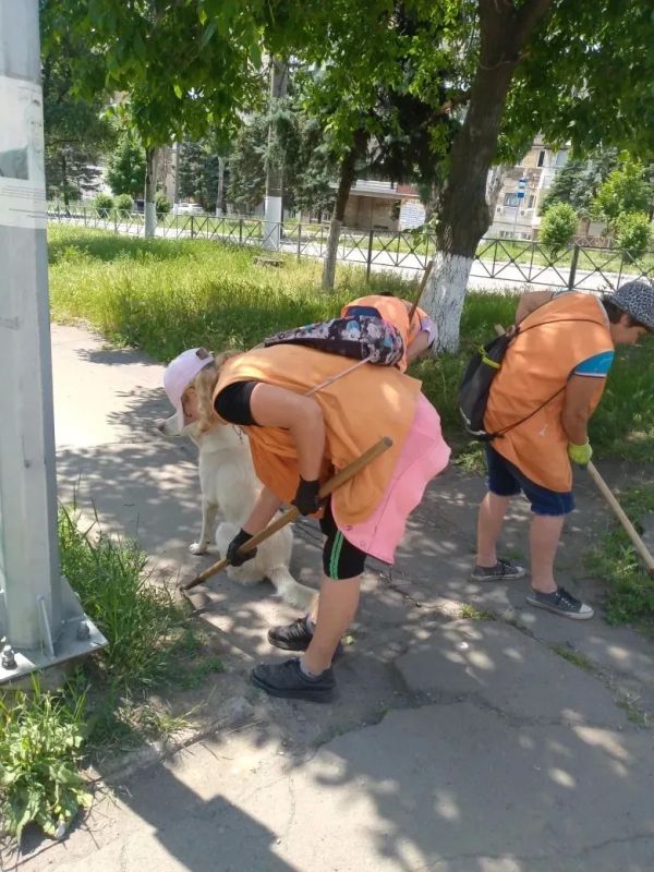 Коммунальщики Снежного продолжают благоустраивать территории общего пользования Коммунальщики Снежного продолжают благоустраивать территории общего пользования
