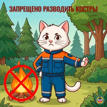 Что запрещено делать с июня по октябрь