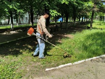 Александр Качанов: В Докучаевске ведутся работы по покосу карантинной травы