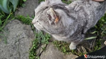 ����� ��������: �������� ���!. #�������� #������������������ #���������������
