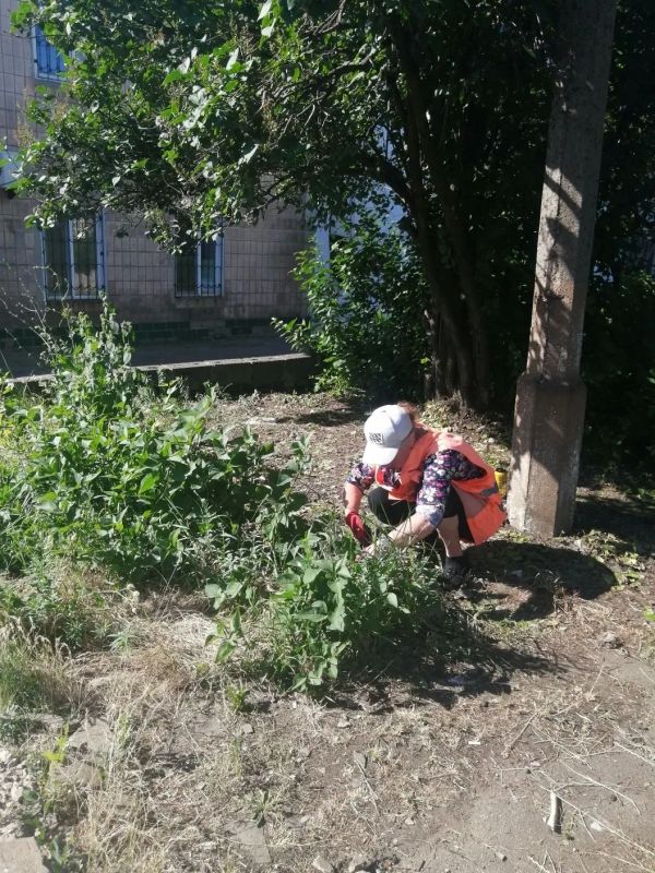 Коммунальщики Снежного продолжают благоустраивать территории общего пользования Коммунальщики Снежного продолжают благоустраивать территории общего пользования