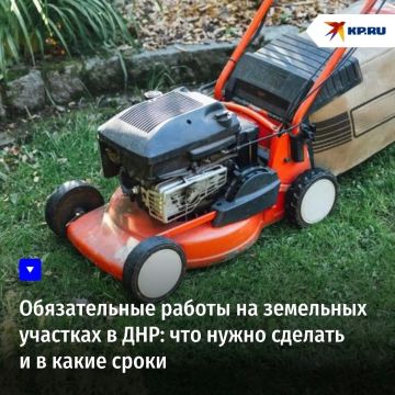 Обязательные работы на земельных участках в ДНР: что нужно сделать и в какие сроки