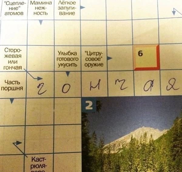 Клетки не сошлись: житель Дзержинска засудил издательство за бракованный сканворд