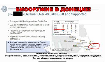 В Донецке до 2014 года разрабатывали биологическое оружие против людей за деньги США