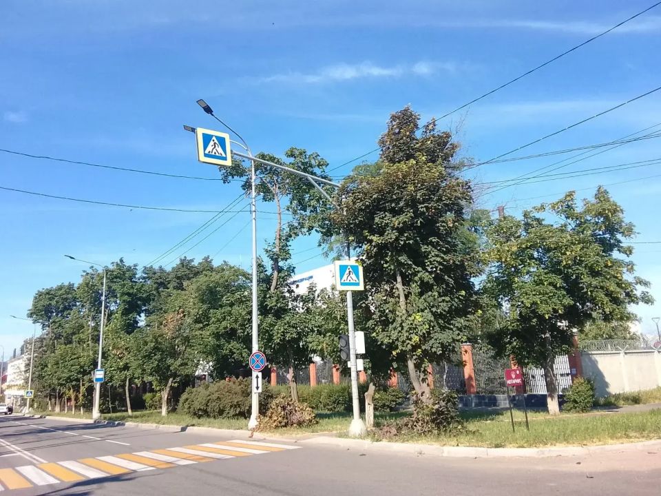 Продолжаем обрезку деревьев