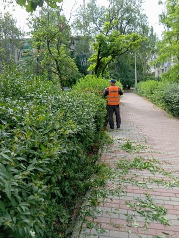 Рабочие зеленого строительства проводят формовочную обрезку кустарников Рабочие зеленого строительства проводят формовочную обрезку кустарников