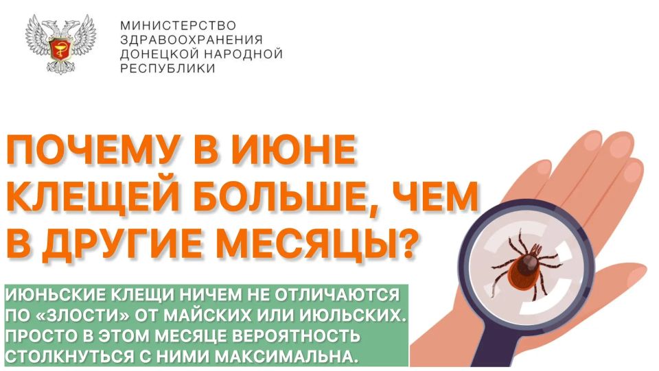 Почему в июне клещей больше, чем в другие месяцы?