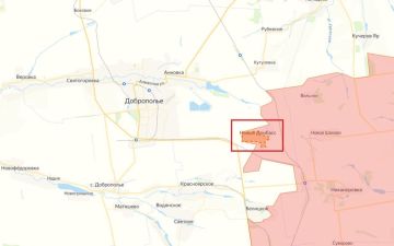 В ДНР освобождён н.п. Новый Донбасс на Добропольском направлении