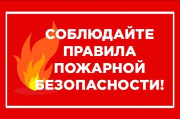 Безопасный выпускной: правила, которые спасают жизнь