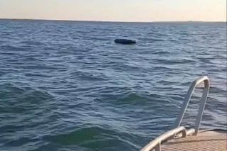 ����� ���������� ���������: ��� �������� ������� �� ��������� ��������� ���� � ���