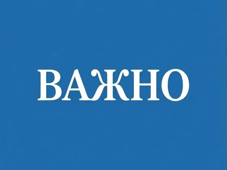 Муниципальное унитарное предприятие «Зеленстрой» просит жителей Мариуполя сообщать о местах скопления безнадзорных животных