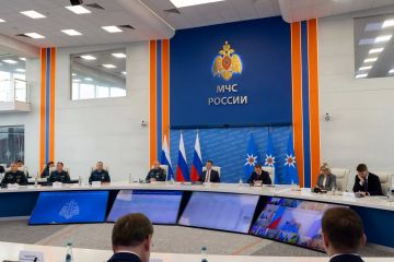Вице-премьер ДНР Владимир Ежиков принял участие в совещании под председательством зампреда Правительства РФ Дмитрия Патрушева по вопросам прохождения пожароопасного сезона