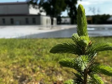 Наталья Великодная: Доброе утро, уважаемые жители!