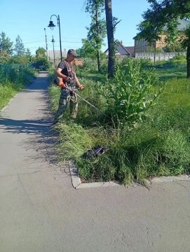 Елена Рязанцева: Силами МУП АГОД ДНР «Зеленое строительство г.Донецка» ведутся работы по покосу травы в парке им. Горького