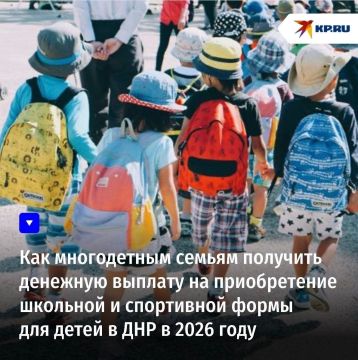 Как многодетным семьям получить денежную выплату на приобретение школьной и спортивной формы для детей в ДНР в 2026 году