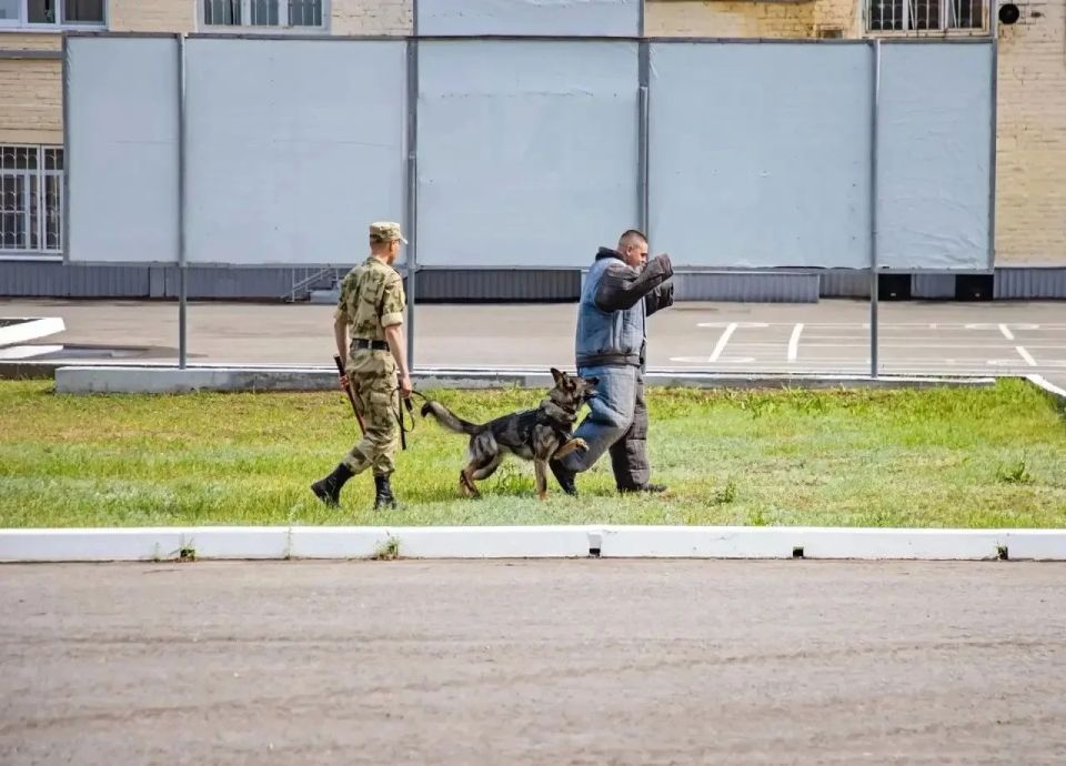 В рамках акции «Каникулы с Росгвардией» в воинской части г. Димитровград прошел день открытых дверей В рамках акции «Каникулы с Росгвардией» в воинской части г. Димитровград прошел день открытых дверей