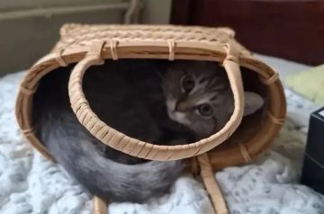 ������� �� ��� ������ �� ����� ������ ��������� ��� ������