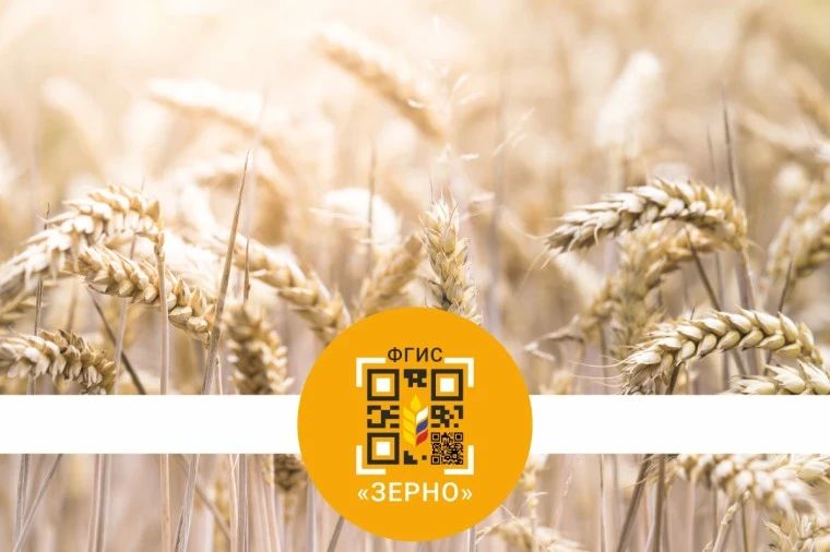 ФГИС «Зерно» — федеральная платформа, целью которой является контроль оборота зерна и продуктов его переработки