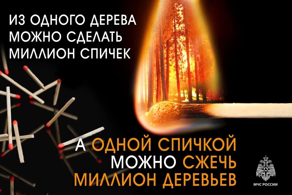 Береги лес: одна спичка — непоправимый вред