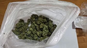 Стражи правопорядка пресекли факт незаконного хранения наркотиков в Шахтерске