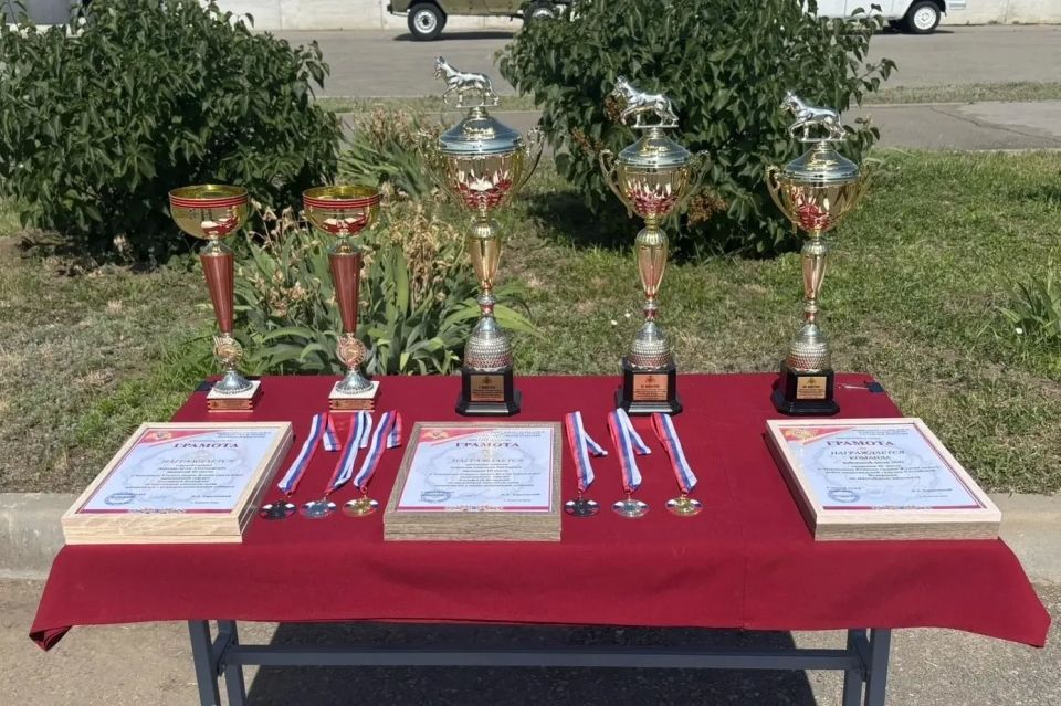Росгвардейцы ДНР завоевали бронзу на чемпионате Южного округа по многоборью кинологов