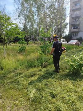 Специалисты производственных участков городов Дебальцево, Светлодарск и пгт Мироновский, входящих в структуру Енакиевского филиала по управлению МКД ДНР, выполнили плановые работы по выкашиванию травы на закрепленных...