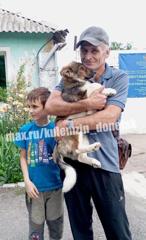 Алексей Кулемзин: Команда предприятия «Животные в городе» продолжает дарить бездомным животным крупицу надежды — а порой и целую новую жизнь Алексей Кулемзин: Команда предприятия «Животные в городе» продолжает дарить бездомным животным крупицу надежды — а порой и целую новую жизнь
