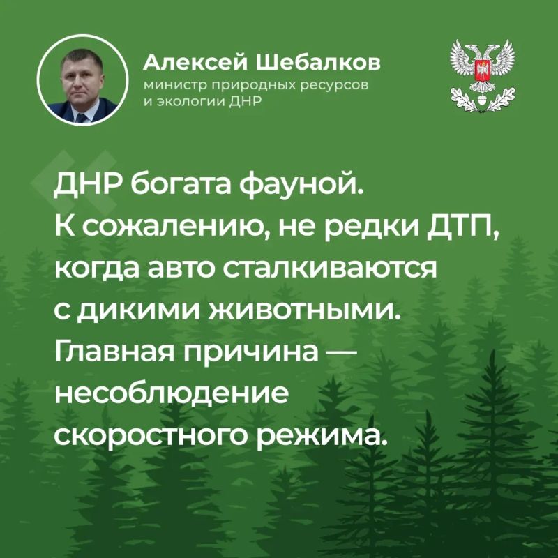В ходе прямого эфира Министр природных ресурсов и экологии Донецкой Народной Республики Алексей Шебалков ответил на вопросы, волнующие жителей Республики В ходе прямого эфира Министр природных ресурсов и экологии Донецкой Народной Республики Алексей Шебалков ответил на вопросы, волнующие жителей Республики