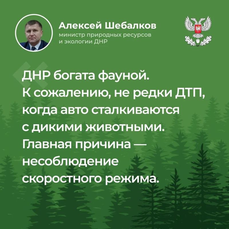 В ходе прямого эфира ответил на вопросы, волнующие жителей Республики В ходе прямого эфира ответил на вопросы, волнующие жителей Республики