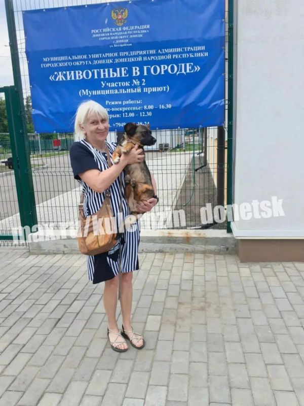 Алексей Кулемзин: Команда предприятия «Животные в городе» продолжает дарить бездомным животным крупицу надежды — а порой и целую новую жизнь Алексей Кулемзин: Команда предприятия «Животные в городе» продолжает дарить бездомным животным крупицу надежды — а порой и целую новую жизнь