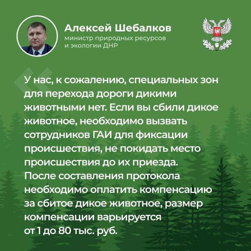В ходе прямого эфира ответил на вопросы, волнующие жителей Республики В ходе прямого эфира ответил на вопросы, волнующие жителей Республики