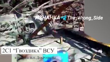 Уничтожение САУ 2С1 "Гвоздика" ВСУ ударами FPV-дронов и "Ланцета" в районе н.п. Доброполье