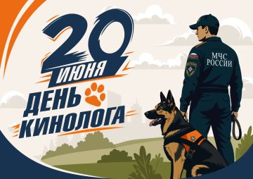 По следу спасения. Сегодня — День кинолога МЧС России! От всей души поздравляем специалистов, чья работа — это не просто тренировки и выезды, а особая связь, построенная на доверии и взаимопонимании между человеком и собакой