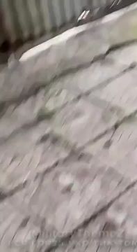 ��� ����� ������������� ������ ��������������, ��� ���� ���� � ��� � ���������, ���� ���������� �������� ������� � ��������� ���������� �����