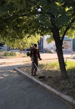 ������������� �������� ���������� ��������������� ���������� ������ �����������