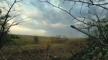 #присоединяйсякСВОим. Подробности на сайте служба по контракту.рф и по телефону 117