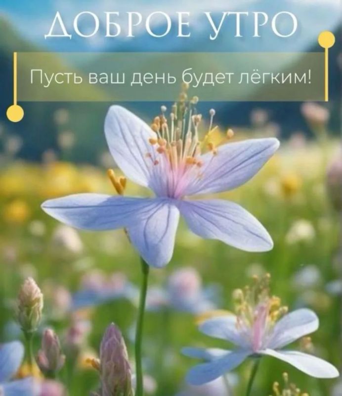 #доброе_утро