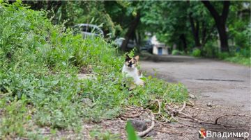 Игорь Мартынов: Доброе утро, Енакиево!. #НашОкруг #ЕнакиевоВобъективе #ТалантыЕнакиево