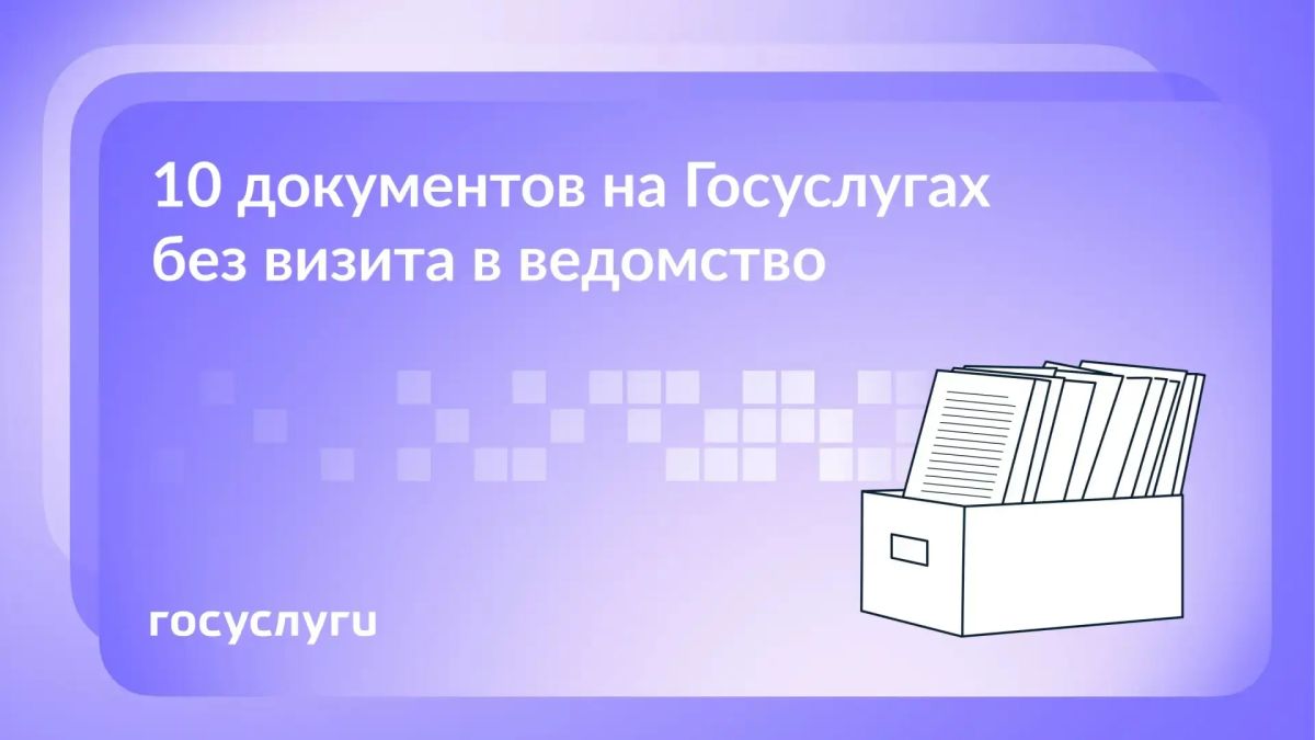 С помощью Госуслуг можно оформить документы, не выходя из дома — результат приходит по запросу онлайн