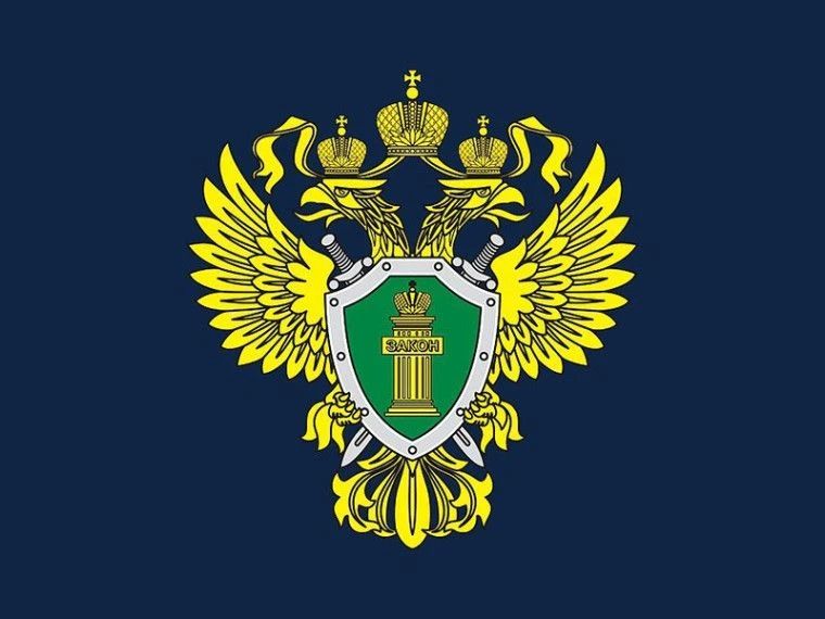 Трудовые гарантии для членов семьи участников СВО