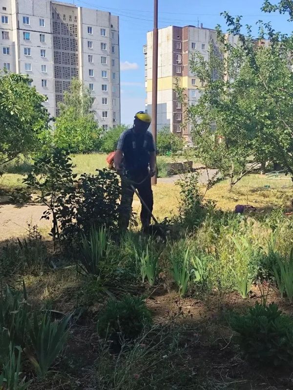 Силами профильных участков Енакиевского филиала по управлению многоквартирными домами организован и проведен покос травы на придомовых территориях Дебальцево, Светлодарска и пгт Мироновский Силами профильных участков Енакиевского филиала по управлению многоквартирными домами организован и проведен покос травы на придомовых территориях Дебальцево, Светлодарска и пгт Мироновский