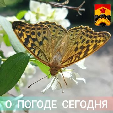Гидрометцентр сообщил о погоде в Шахтерском округе