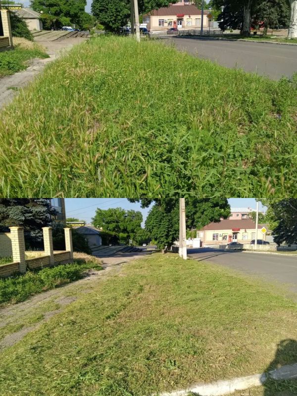 В Старобешевском округе продолжаются работы с сорной растительностью В Старобешевском округе продолжаются работы с сорной растительностью