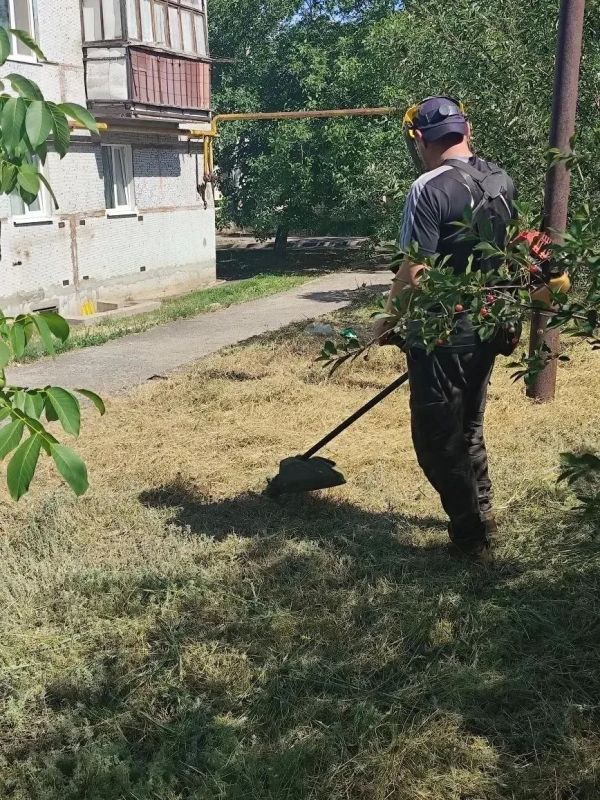 Силами профильных участков Енакиевского филиала по управлению многоквартирными домами организован и проведен покос травы на придомовых территориях Дебальцево, Светлодарска и пгт Мироновский Силами профильных участков Енакиевского филиала по управлению многоквартирными домами организован и проведен покос травы на придомовых территориях Дебальцево, Светлодарска и пгт Мироновский