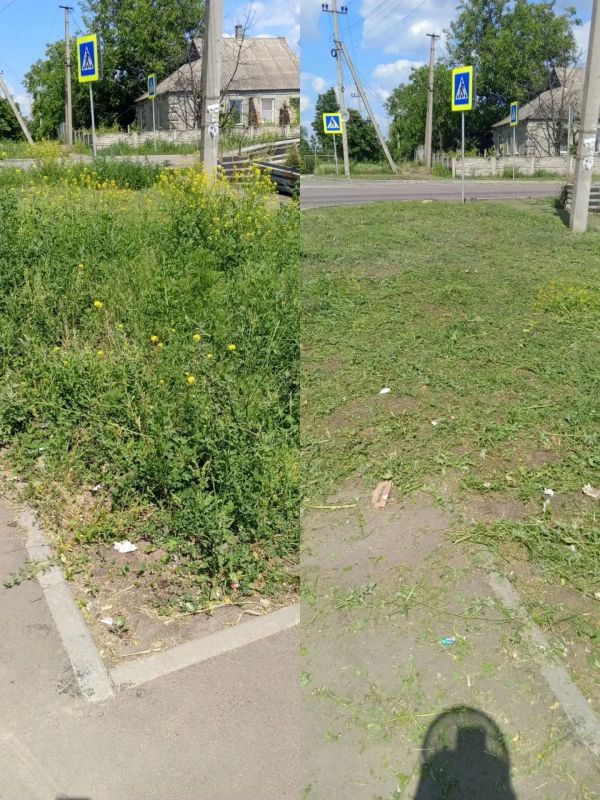 В Старобешевском округе продолжаются работы с сорной растительностью В Старобешевском округе продолжаются работы с сорной растительностью