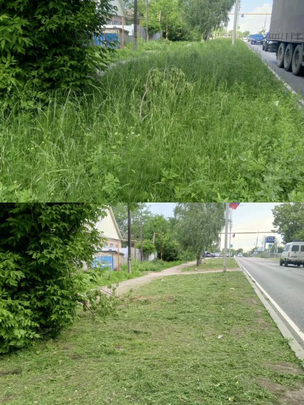 В Старобешевском округе продолжаются работы с сорной растительностью В Старобешевском округе продолжаются работы с сорной растительностью