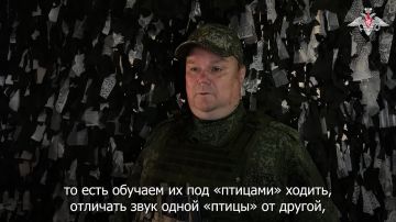 ���������� ������: ������� �� ������� ������������ ������ �������� ������