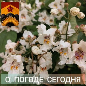 ��������� �����: ������������� ������� � ������ � ���������� ������